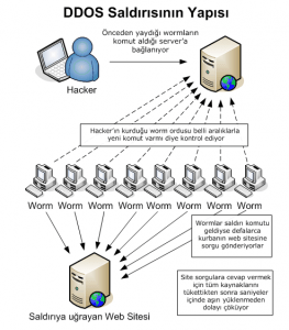 ddos